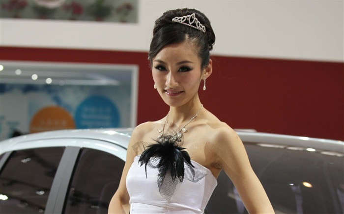 2010 Beijing International Auto Show beauty (1) (the wind chasing the clouds works) #9
