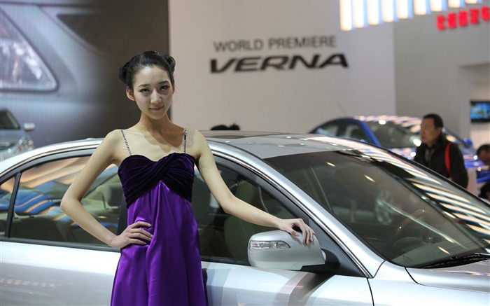 2010 Beijing International Auto Show beauty (1) (the wind chasing the clouds works) #15