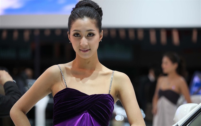 2010 Beijing International Auto Show beauty (1) (the wind chasing the clouds works) #16