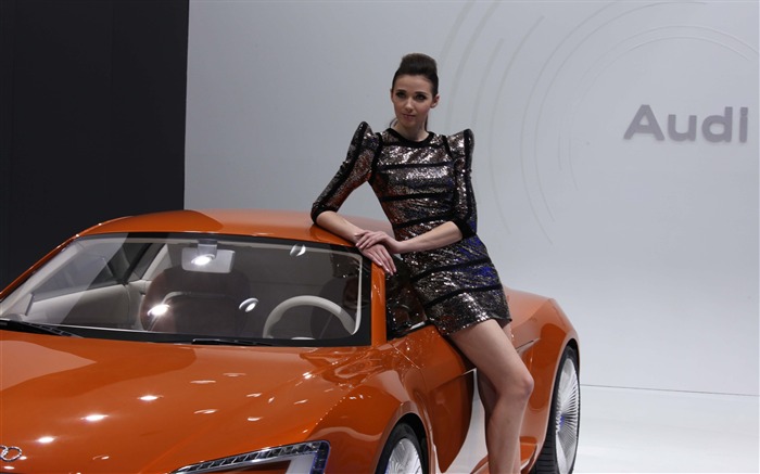 2010 Beijing International Auto Show beauty (2) (the wind chasing the clouds works) #5