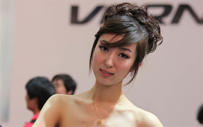 2010 Beijing International Auto Show beauty (2) (the wind chasing the clouds works) #20