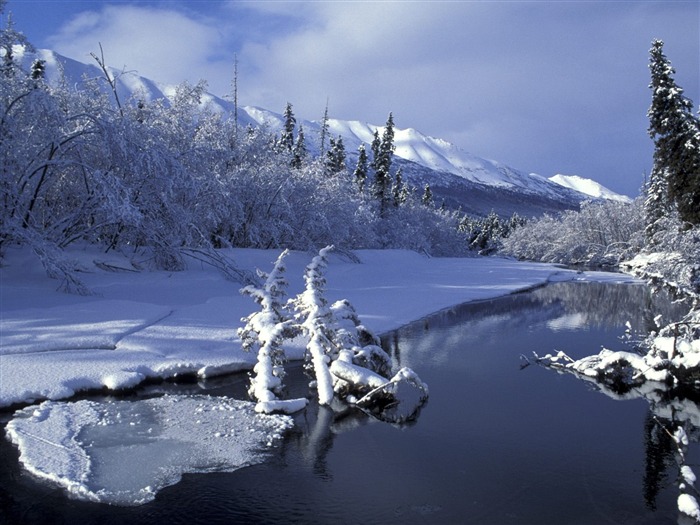 Hiver neige fond d'écran (2) #7