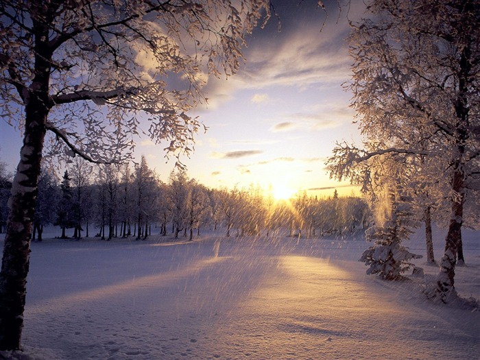 Winter Snow Wallpaper (2) #8