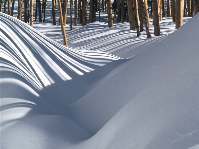 Hiver neige fond d'écran (2) #10