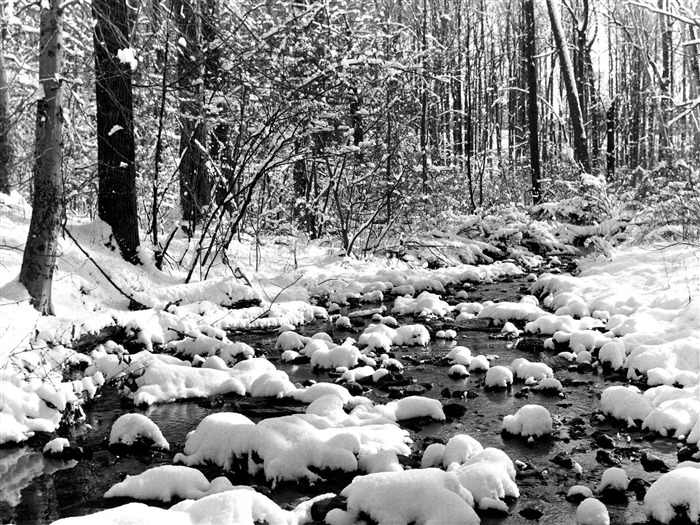 Hiver neige fond d'écran (2) #11