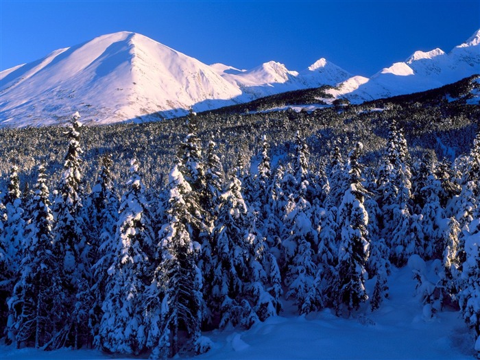 冬天雪景壁纸(二)12