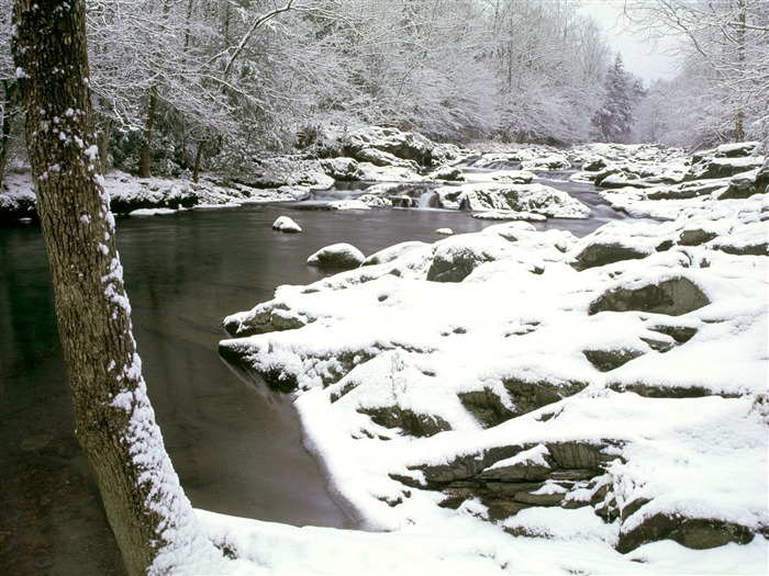 Hiver neige fond d'écran (2) #14