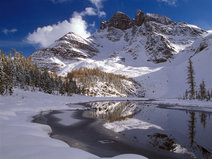 冬天雪景壁纸(二)16