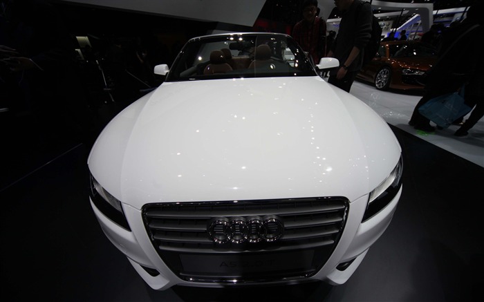 2010 Beijing Auto Show (der Wind jagte die Wolken Werke) #38