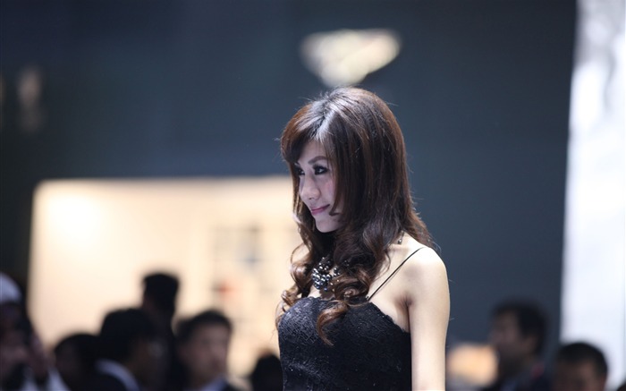 2010 Beijing Auto Show car models Collection (1) #5