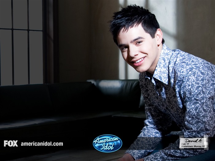 American Idol fond d'écran (2) #7