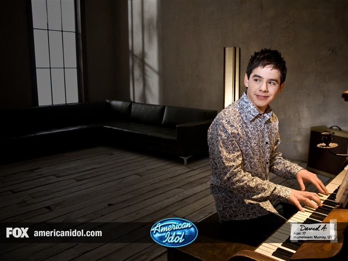 American Idol tapety (2) #8