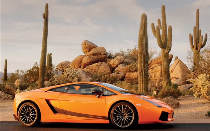Cool fond d'écran Lamborghini Voiture (2) #10