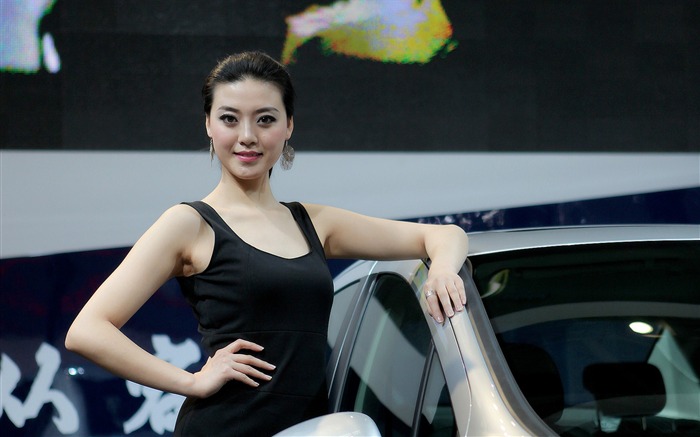 2010 Beijing Auto Salon de l'auto modèles de la collection (2) #10
