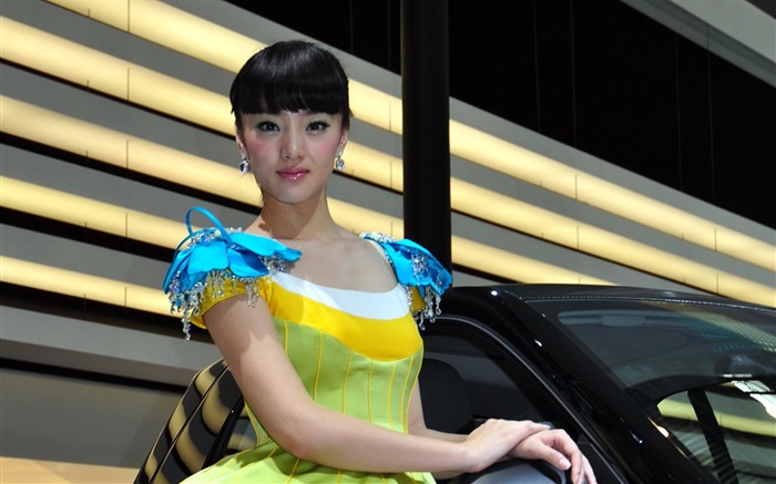 2010 베이징 자동 표시 자동차 모델 컬렉션 (2) #3