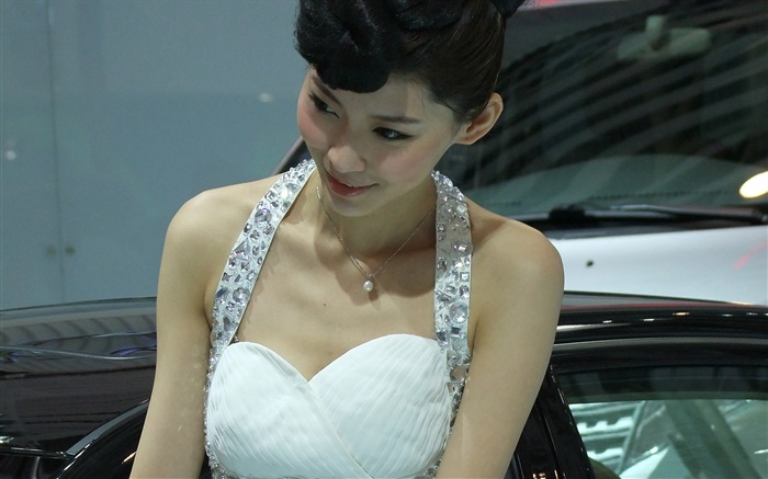 2010 베이징 자동 표시 자동차 모델 컬렉션 (2) #1