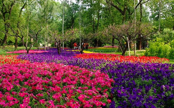 Xiangshan early summer garden (rebar works) #9