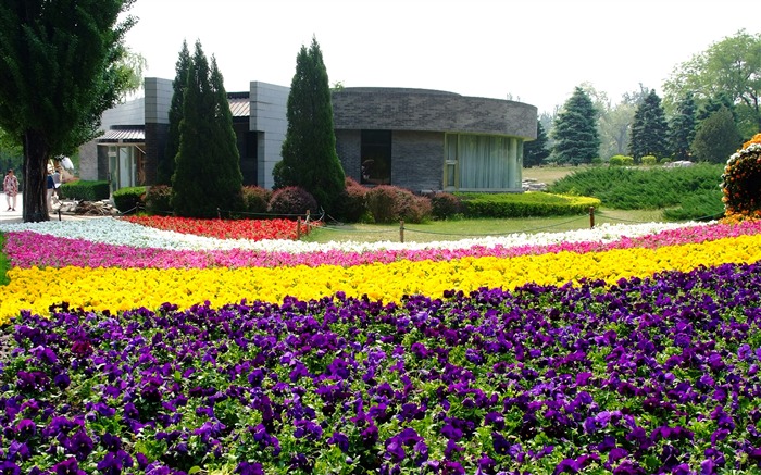 Xiangshan jardín principios del verano (obras barras de refuerzo) #11