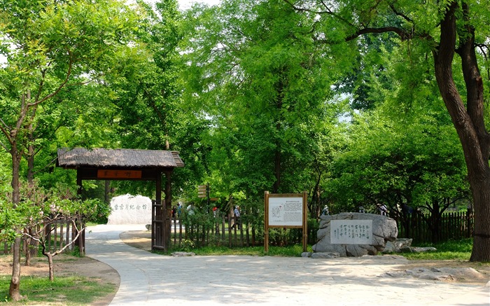 Xiangshan early summer garden (rebar works) #16