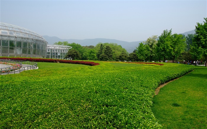 Xiangshan jardín principios del verano (obras barras de refuerzo) #24