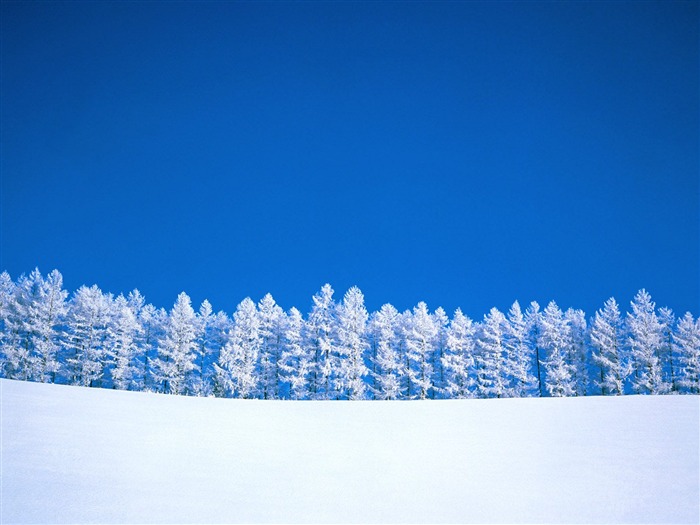 冬天雪景壁纸(三)8