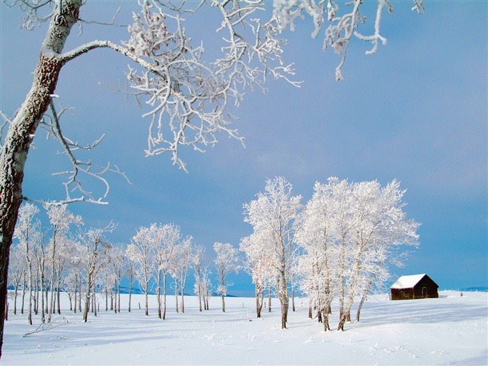 冬天雪景壁纸(三)10