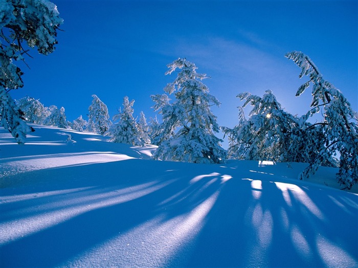 Winter Snow Wallpaper (3) #14