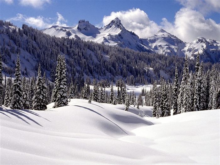 Hiver neige fond d'écran (3) #18