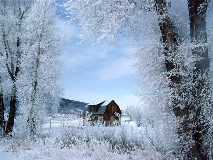 Hiver neige fond d'écran (3) #20