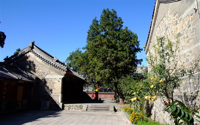 京西古迹 慈善寺 (螺纹钢作品)10