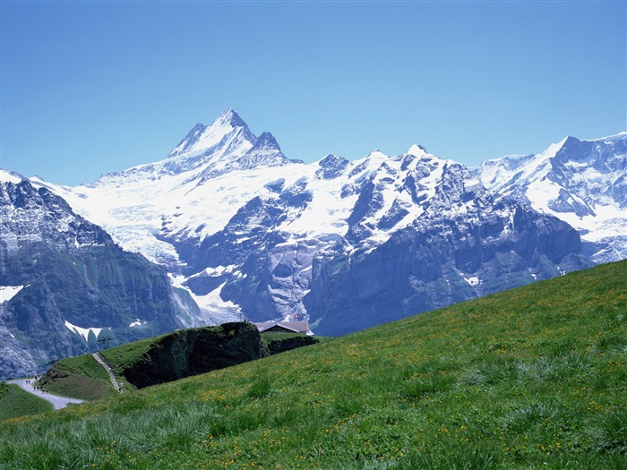 雪山 壁纸(一)10