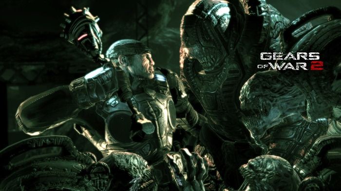 Gears Of War 2 HD wallpaper (1) #28