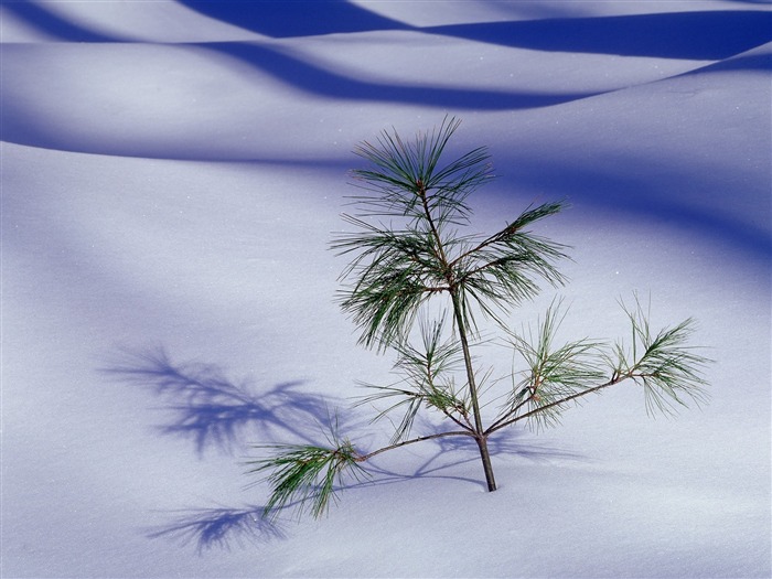 雪山雪景合集 壁纸(二)13