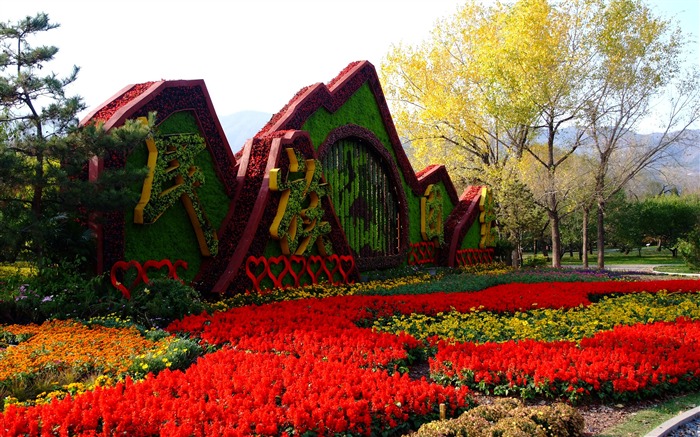 Xiangshan Herbst Garten (Bewehren) #1