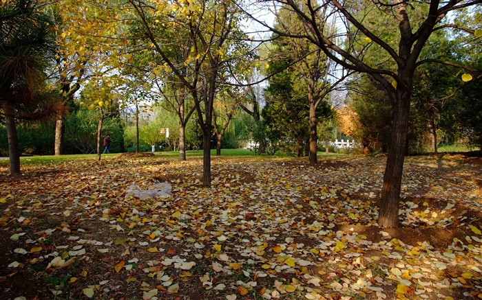 jardin d'automne Xiangshan (œuvres des barres d'armature) #3
