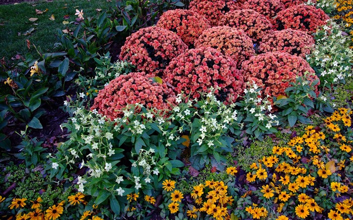 Xiangshan Herbst Garten (Bewehren) #5