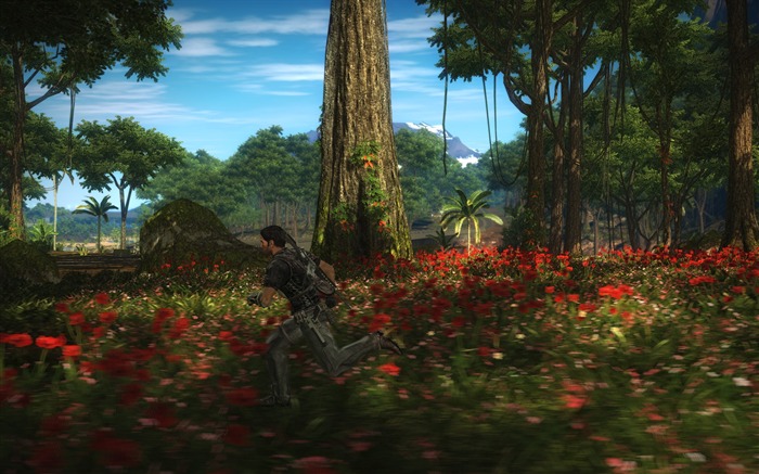 Just Cause 2 正当防卫 2 高清壁纸13