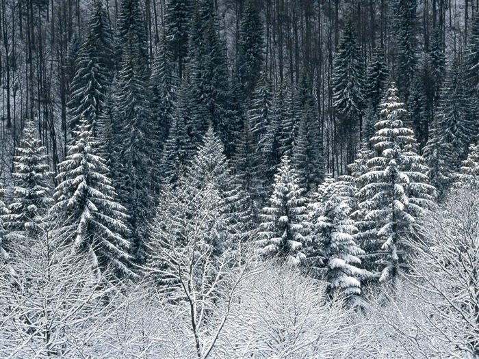 雪山雪景合集 壁纸(四)20