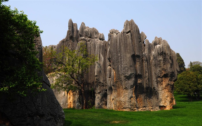 Stone Forest in Yunnan line (1) (Khitan wolf works) #3