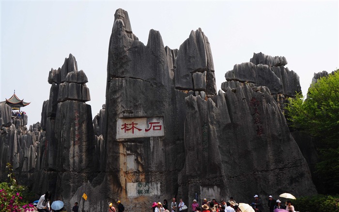 Stone Forest in Yunnan line (1) (Khitan wolf works) #5