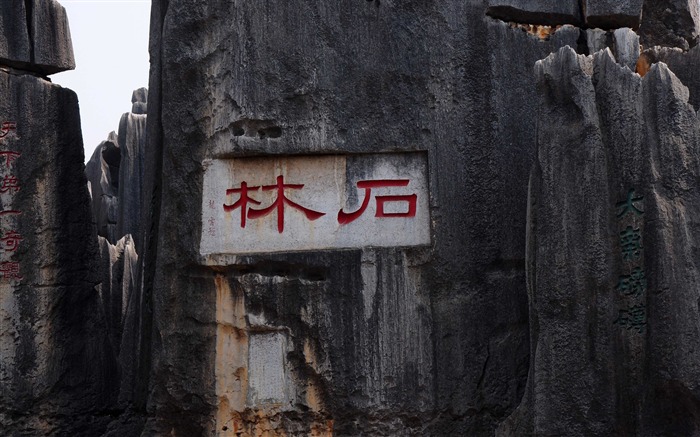 Stone Forest in Yunnan line (1) (Khitan wolf works) #11