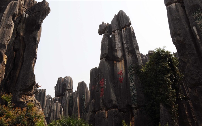 Stone Forest in Yunnan line (1) (Khitan wolf works) #14