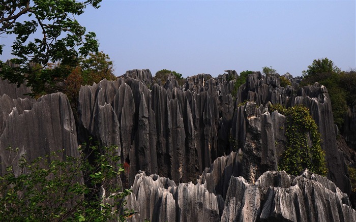 Stone Forest in Yunnan line (1) (Khitan wolf works) #19