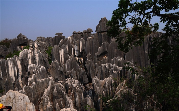 Bosque de Piedras de Yunnan en línea (1) (obras Khitan lobo) #20