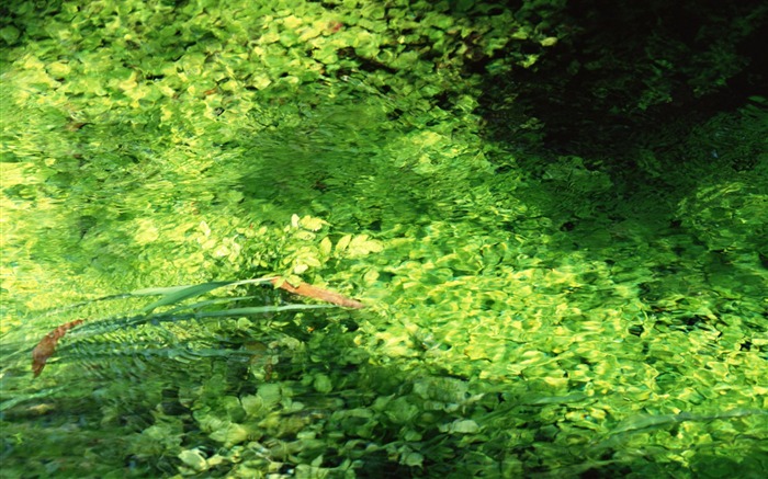Stream Celovečerní Wallpaper (1) #18