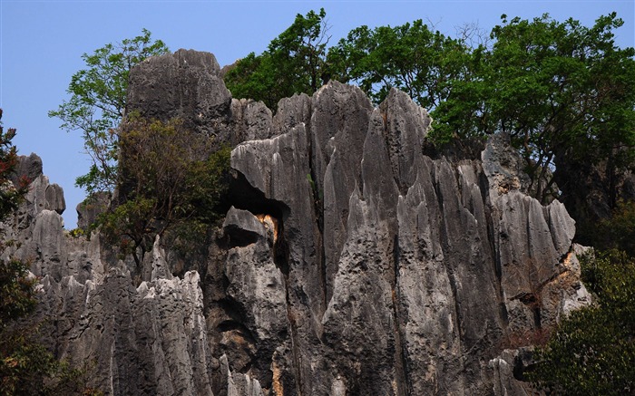 Stone Forest in Yunnan line (2) (Khitan wolf works) #4