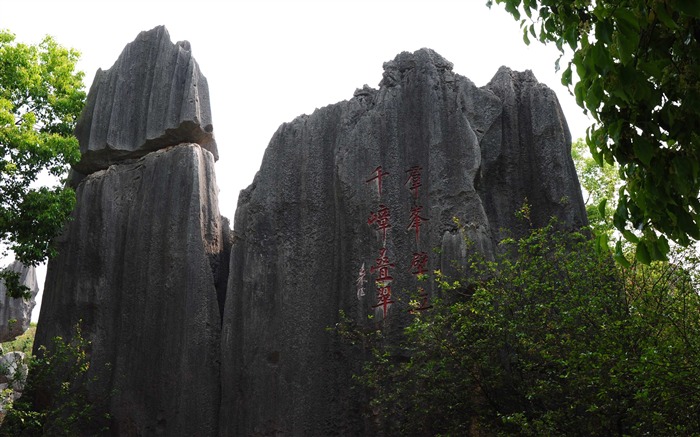 Stone Forest in Yunnan line (2) (Khitan wolf works) #9