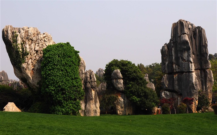 Stone Forest in Yunnan line (2) (Khitan wolf works) #14