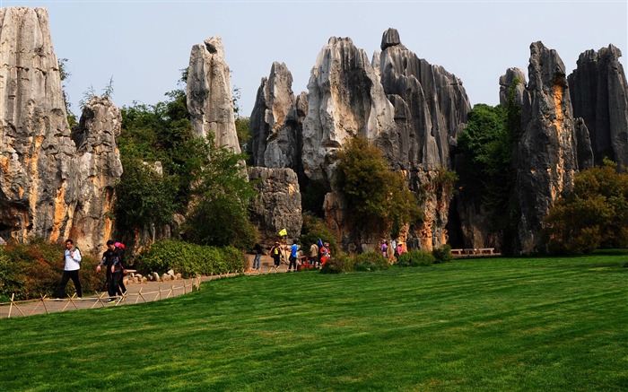 Bosque de Piedras de Yunnan en línea (2) (obras Khitan lobo) #21