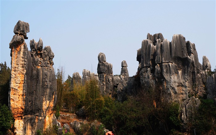 Bosque de Piedras de Yunnan en línea (2) (obras Khitan lobo) #24